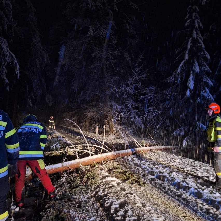 Einsatzkräfte in Winteruniformen entfernen einen umgestürzten Baum von einer Straße in einem verschneiten Wald.