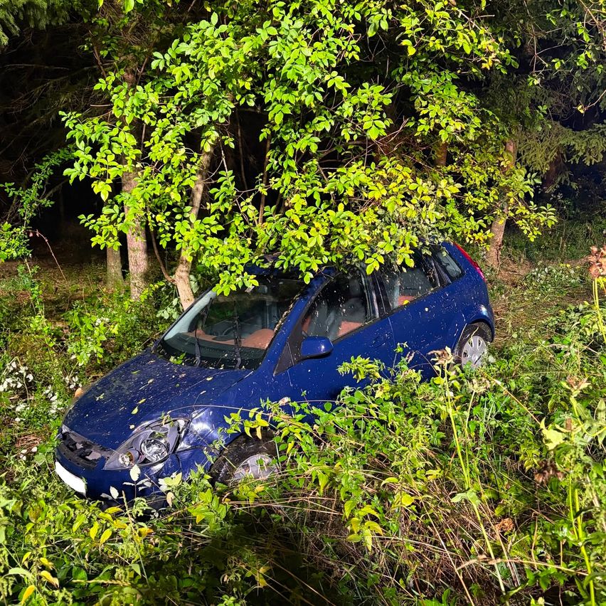 Ein blaues Auto steckt in den Büschen fest, der vordere Stoßfänger beschädigt und die Scheinwerfer eingeschaltet.