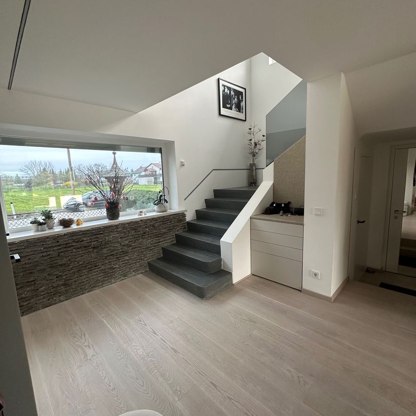 Bild enthält, Floor, Indoors, Interior Design, Foyer, Plant, Painting, Person, Car, Sword, Staircase