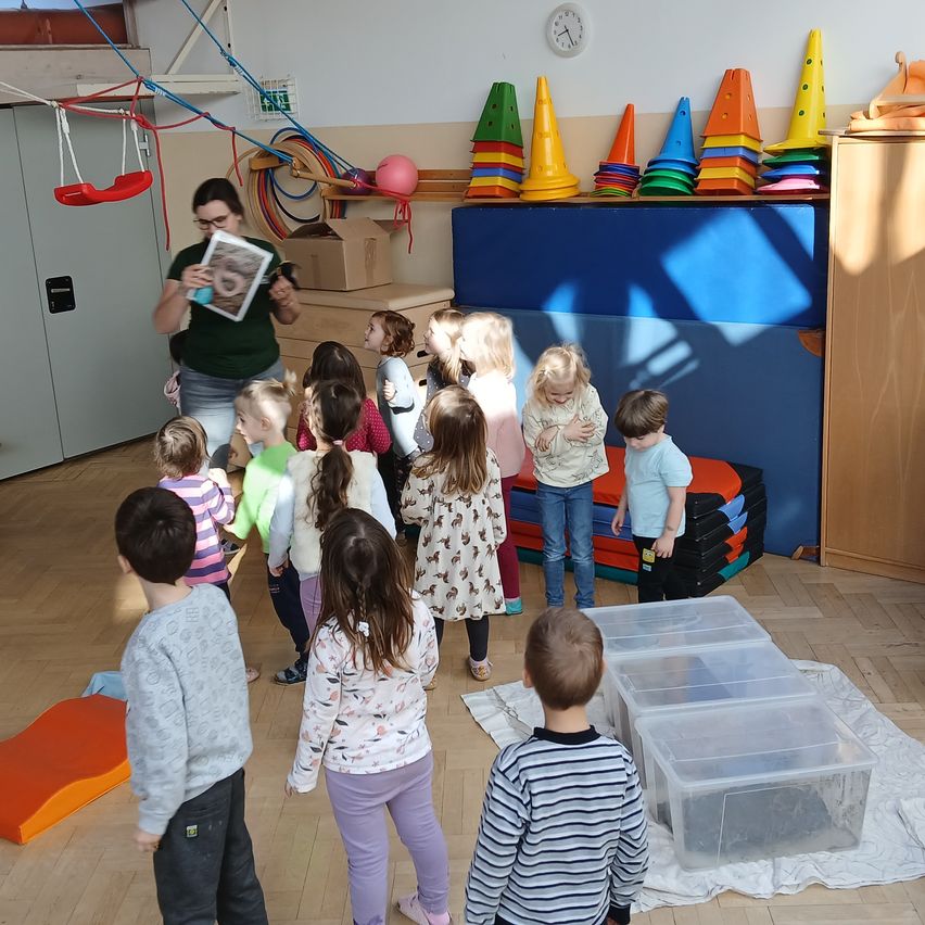 Bild enthält, Kindergarten, Wood, Child, Female, Girl, Person, Boy, Male, Flooring, Plywood