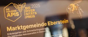 Zwei Schilder sind auf hölzernen Staffeleien aufgestellt. Das linke Schild zeigt 'Biodiversitätspreis 2025'. Das rechte Schild beinhaltet den Text 'Initiative City Imker Klagenfurt'. Der Hintergrund ist verschwommen mit einer Silhouette einer Person.