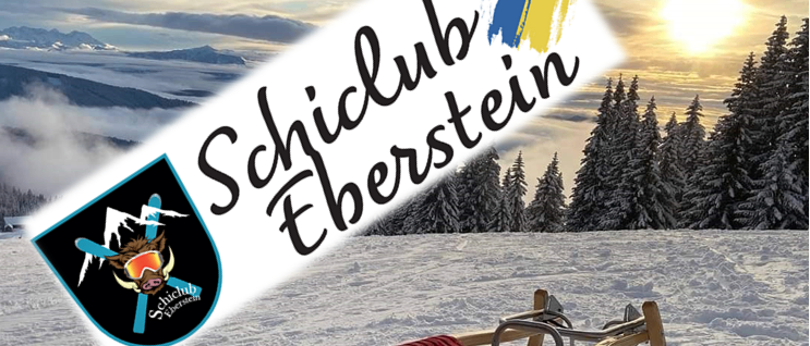 Bild enthält, Sled, Nature, Outdoors, Snow, Bench, Furniture, Person, Dogsled, Mammal, Pet