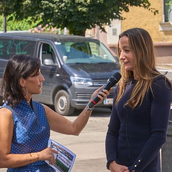 Bild enthält, Conversation, Person, Interview, Adult, Female, Woman, Car, Wheel, Advertisement, License Plate