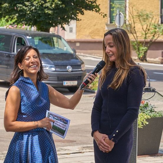 Bild enthält, Advertisement, Poster, Conversation, Person, Adult, Female, Woman, Interview, Car, Wheel