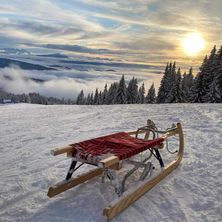 Bild enthält, Sled, Nature, Outdoors, Bench, Furniture