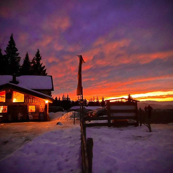Bild enthält, Outdoors, Shelter, Tree, Nature, Sky, Scenery, Housing, House, Sunset, Cabin