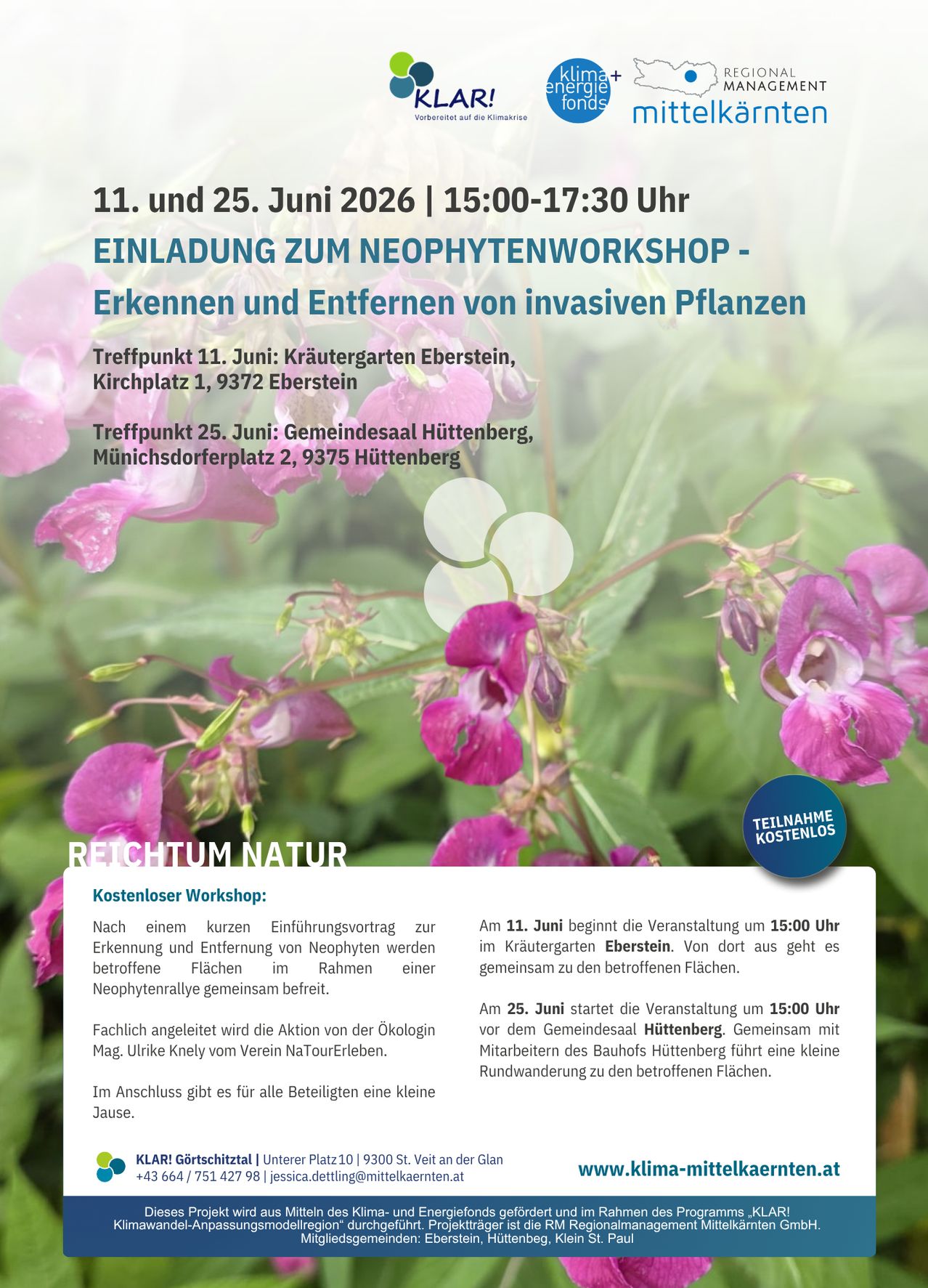 Workshop am 11. und 25. Juni 2026, 15:00-17:30 Uhr. Erkennung und Entfernung invasiver Pflanzen. Reichtum Natur Workshop. Lernen, invasive Pflanzen zu erkennen und zu entfernen. Geführt von Ökologin Mag. Ulrike Knely. Kleine Gruppe mit Spaziergang zu betroffenen Flächen.