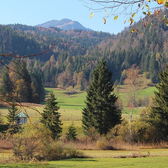 Wassergewinnungsgebiet Mühlau