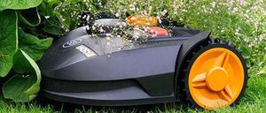 Bild enthält, Grass, Lawn, Plant, Device, Machine, Wheel, Lawn Mower, Tool