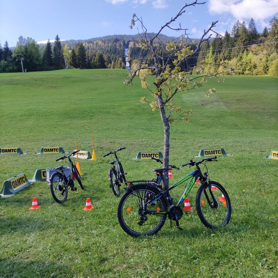 Bild enthält, Grass, Bicycle, Vehicle, Wheel, Box, Grassland, Nature, Outdoors, Spoke, Airplane