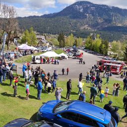 Bild enthält, Shoe, Tree, Car, Vehicle, Person, Fir, Hat, Handbag, Tent, Car Show