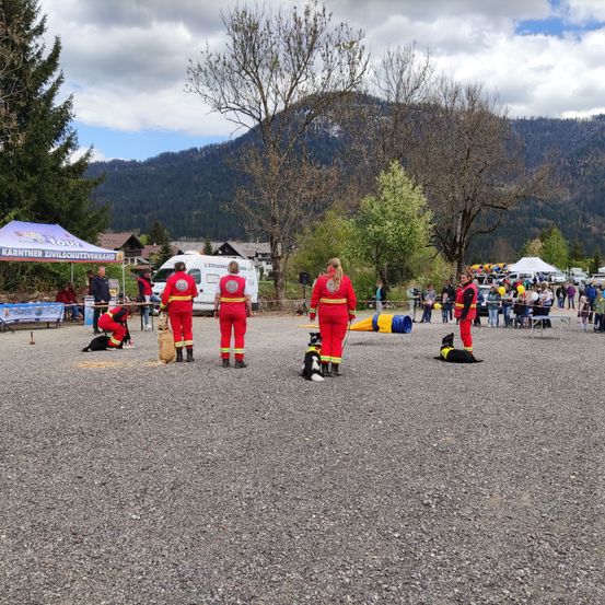 Bild enthält, Fir, Tree, People, Person, Tent, Handbag, Road, Shoe, Dog, Outdoors