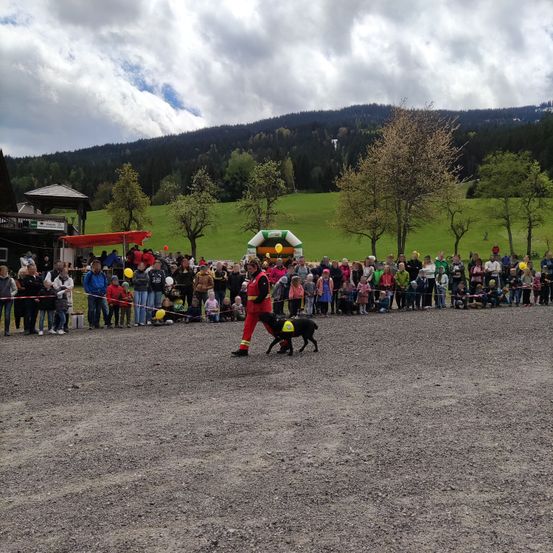 Bild enthält, People, Person, Shoe, Dog, Volleyball (Ball), Handbag, Grass, Helmet, Hat, Gravel