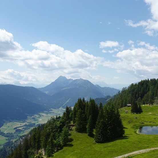 Ein malerisches Panorama einer Bergregion mit üppigen grünen Feldern, dichten Wäldern und einem friedlichen Teich. Die Berge sind von leichten Wolken bedeckt unter einem klaren blauen Himmel.