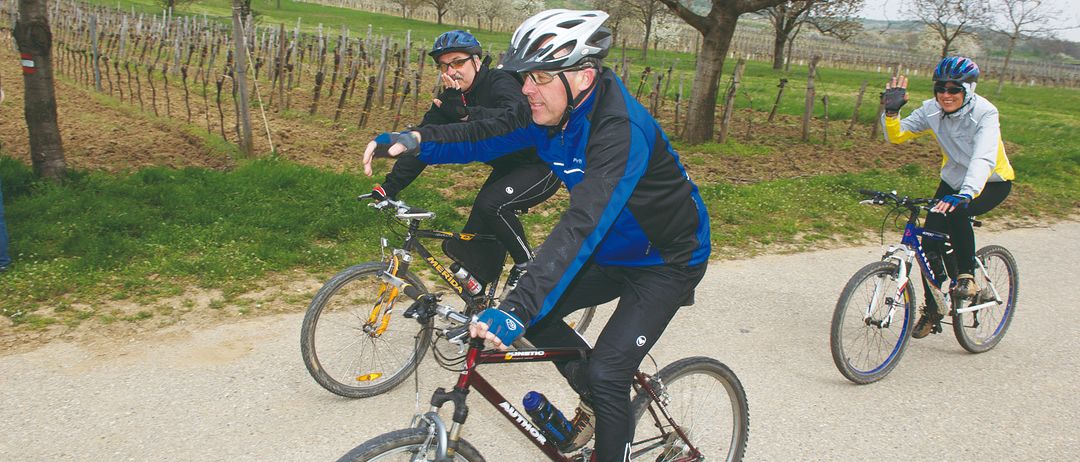 Zwei Radfahrer fahren auf einer Schotterstraße mit ihren Fahrrädern, wobei ein Mann mit Helm und Flasche vorne sitzt. Ein weiterer Radfahrer folgt dahinter. Sie sind umgeben von einem Weinberg mit kahlen Bäumen und einem Grasfeld.