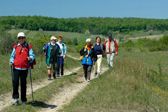 Eine Gruppe von Menschen wandert auf einem Feldweg in einem grasigen Feld. Sie tragen alle Hüte, Brillen und haben Rucksäcke dabei. Das Feld ist von einem grünen Wald umgeben.