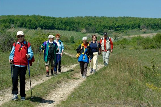 Eine Gruppe von Menschen wandert auf einem Feldweg in einem grasigen Feld. Sie tragen alle Hüte, Brillen und haben Rucksäcke dabei. Das Feld ist von einem grünen Wald umgeben.
