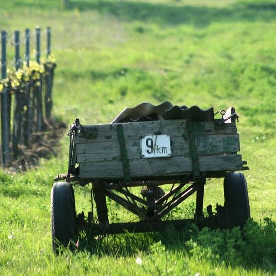 Ein alter hölzerner Wagen mit der Nummer 9 und dem Wort km darauf steht in einem grünen Feld mit einem Zaun im Hintergrund.