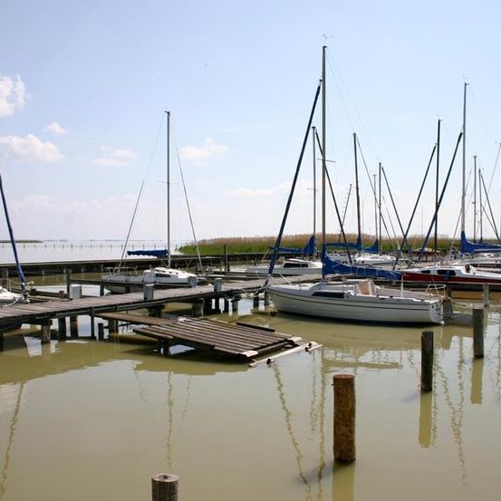 Ein Yachthafen gefüllt mit weißen Segelbooten unter einem klaren blauen Himmel. Die Segelboote sind an Holzanlegern mit Reflexionen im ruhigen Wasser verankert.