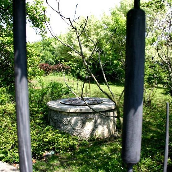 Ein Steinbrunnen ist durch ein Metalltor zu sehen, umgeben von grünem Gras und Büschen. Bäume sind im Hintergrund.