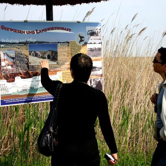 Zwei Personen stehen vor einem Schild, einer zeigt darauf, während der andere hinschaut. Das Schild zeigt Informationen über 'Seewiesen und Landwirtschaft'. Hohes Gras umgibt sie.