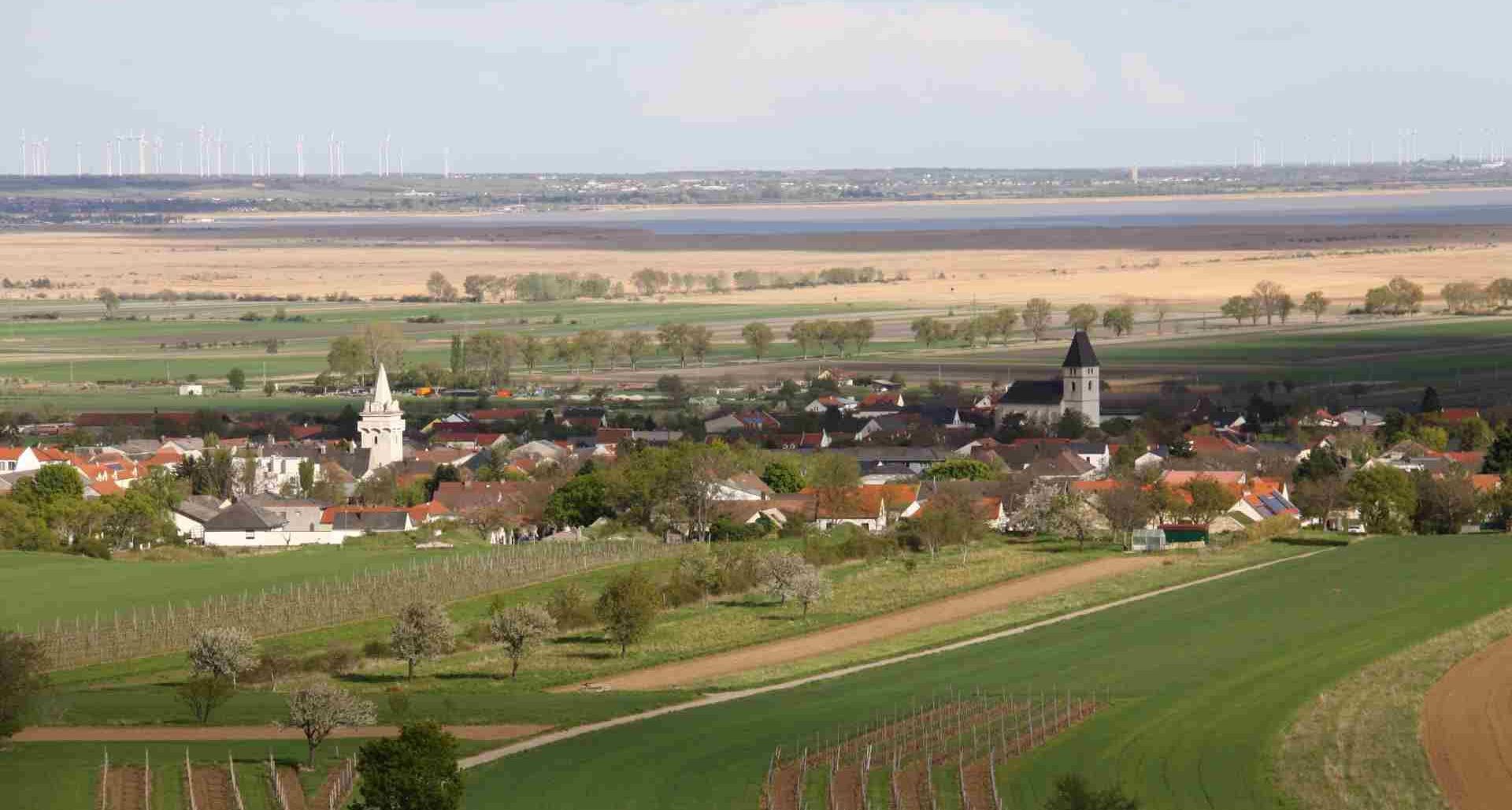 v1_migrated_image_24861860