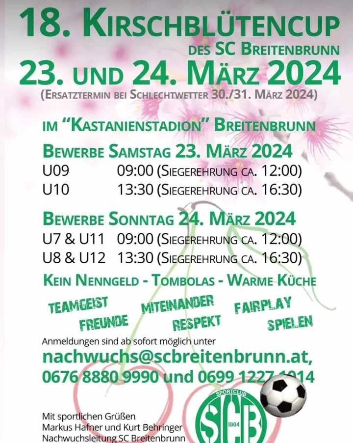 Bild enthält, Advertisement, Poster, Ball, Football, Soccer, Soccer Ball, Sport