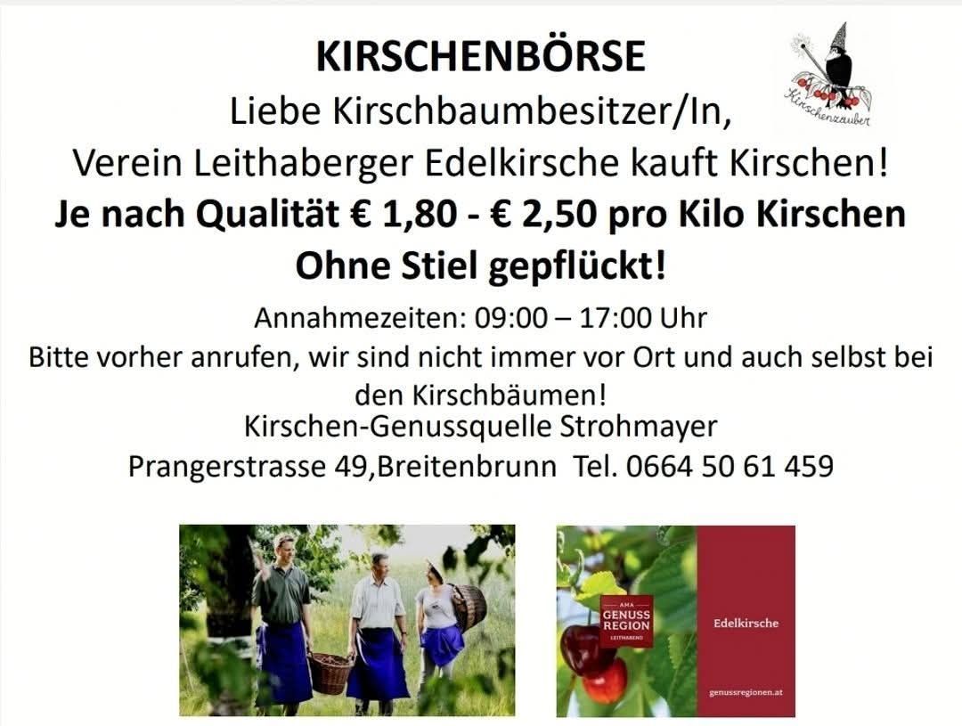 Kirschenboersen-Werbung: Leithaberger Edelkirsche kauft Kirschen. Preisspanne für Qualität liegt zwischen 1,80 und 2,50 Euro pro Kilo. Ohne Stiel. Akzeptanz von Kirschen von 9:00 bis 17:00 Uhr. Telefonnummer: 0664 50 61 459. Standort: Prängerstrasse 49, Breitenbrunn.