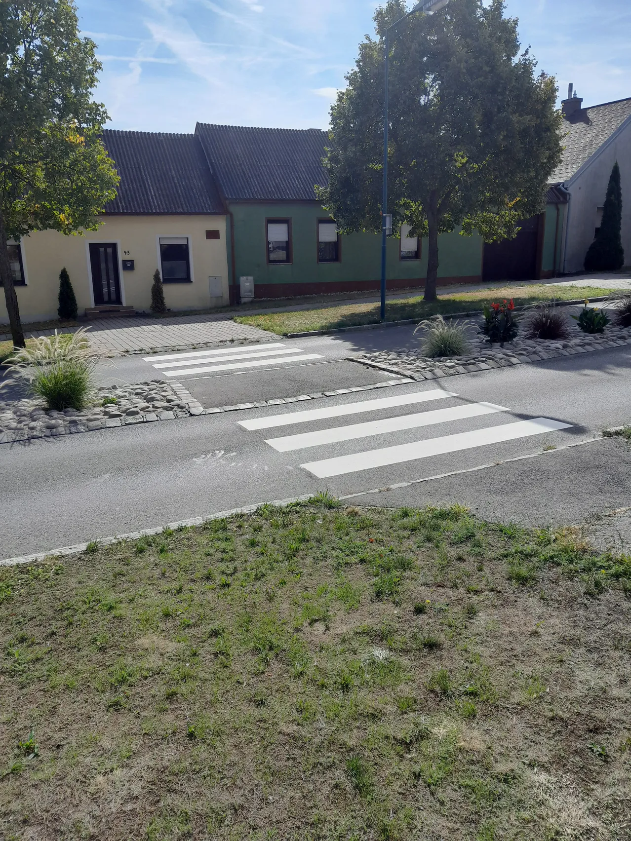 Eine Vorstadtstraße mit einem Zebrastreifen, gesäumt von Häusern und Bäumen. Die Straße ist leer und der Himmel ist klar.