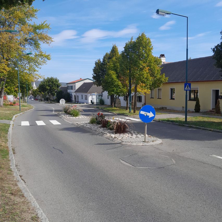 Eine ruhige Straße mit einem blauen Schild, das eine Rechtskurve anzeigt, umgeben von Bäumen und Gebäuden. Die Straße ist leer, und der Himmel ist klar.