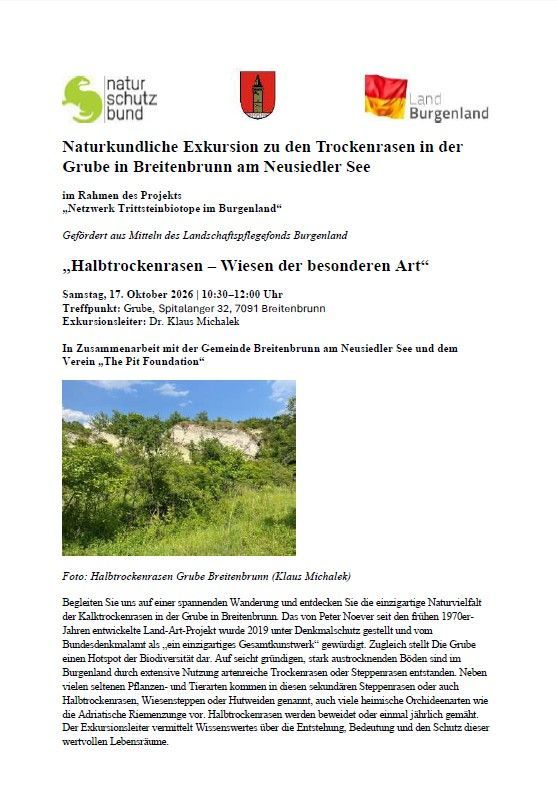 Ein Flyer für eine Naturwanderung zu den Trockenrasen in Grube, Breitenbrunn, Neusiedler See, Österreich. Die Veranstaltung wird von der Naturschutzbund und dem Landschaftspflegefonds Burgenland organisiert. Die Exkursion wird von Dr. Klaus Michalek geleitet. Der Flyer enthält ein Foto der Trockenrasen.