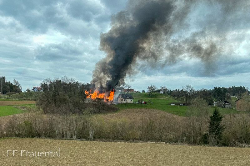 Ein Haus auf einem Hügel steht in Flammen, und Rauch steigt in den Himmel. Bäume und Büsche umgeben das Haus, und andere Häuser sind in der Ferne sichtbar. Der Boden ist mit Gras und Bäumen bedeckt.