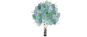 Das Logo für Kindergarten Birkfeld zeigt einen stilisierten Baum mit bunten Blättern und einem Stamm. Der Name 'KINDERGARTEN BIRKFELD' steht in einer verspielten, bunten Schrift unter dem Baum.