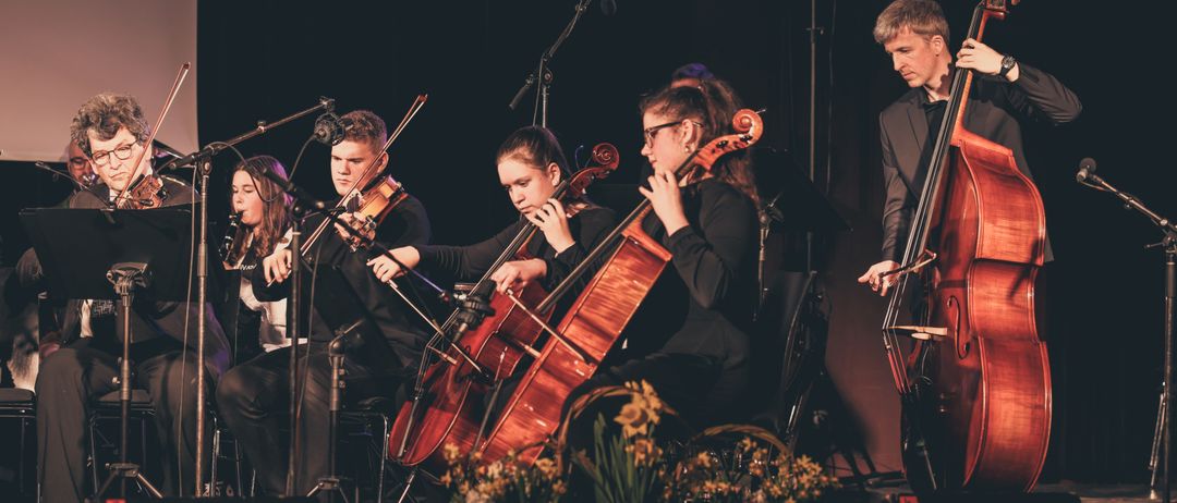 Group Performance, Music Band, Musical Instrument, Person, Concert, Adult, Male, Man, Cello, Wristwatch