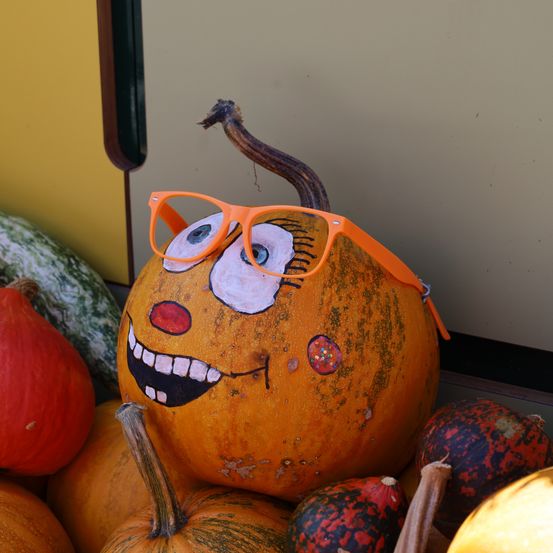 Ein Kürbis mit gemaltem Gesicht, der orangefarbene Brille trägt, steht zwischen anderen Kürbissen.