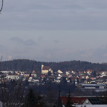 Ein Blick auf eine Stadt mit vielen Gebäuden und Bäumen unter einem bewölkten Himmel. Eine Kirche ist in der Mitte sichtbar.