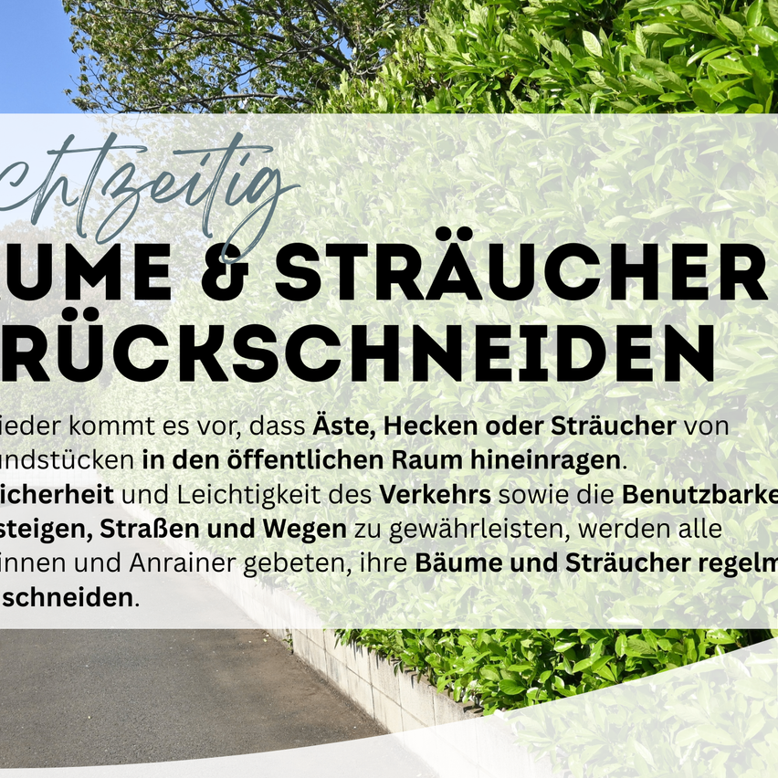 Eine Werbung für Baum- und Strauchschnittservice. Es steht 'Rückschnittzeit für Bäume und Sträucher'. Es betont die Bedeutung des Rückschnitts für Sicherheit und Verkehrsfluss.