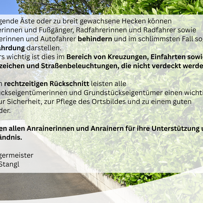 Ein Text über die Bedeutung der Pflege von Hecken für Sicherheit und Sichtbarkeit, insbesondere an Kreuzungen und Einfahrten. Der Text ist in einer Fremdsprache.