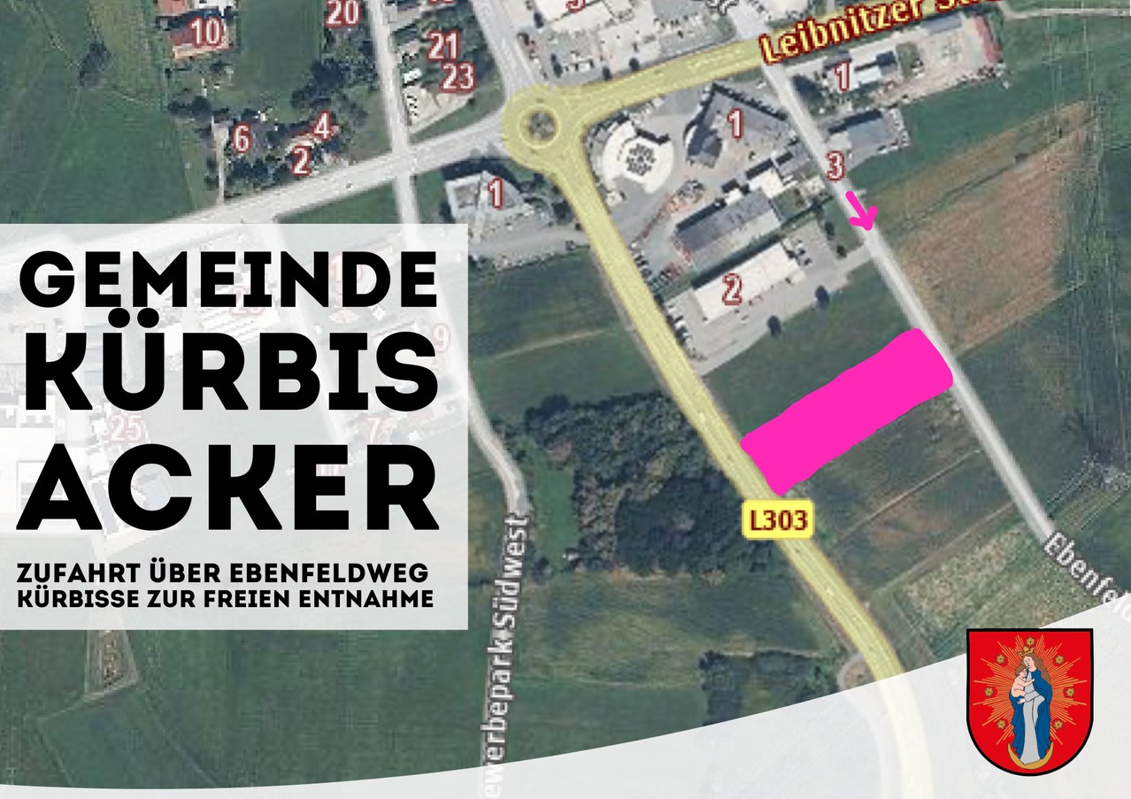 Eine Luftaufnahme zeigt mehrere nummerierte Orte mit Beschriftungen und Pfeilen. 'Meinde Rbis cker' steht links unten. Eine Straße, die mit 'L303' gekennzeichnet ist, hat einen rosa Pfeil nach rechts.