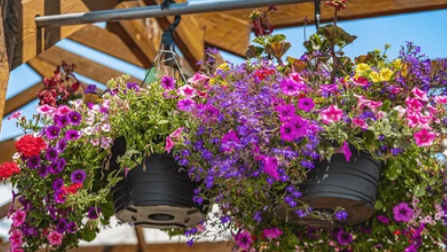 v1_migrated_image_73889438