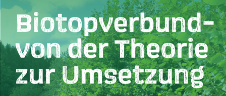 Plakat für eine Naturpark-Gesprächsveranstaltung. Es steht 'Biotopverbund von der Theorie zur Umsetzung'. Datum ist der 18. März 2026, Zeit 18:00 Uhr im Refektorium, Schloss Pöllau.