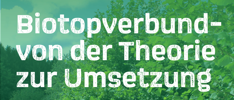 Plakat für eine Naturpark-Gesprächsveranstaltung. Es steht 'Biotopverbund von der Theorie zur Umsetzung'. Datum ist der 18. März 2026, Zeit 18:00 Uhr im Refektorium, Schloss Pöllau.