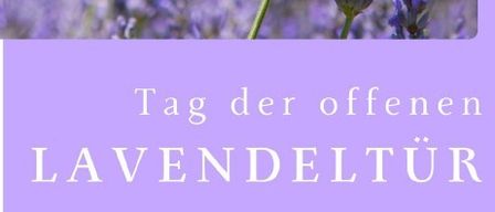 Plakat für den Tag der offenen Lavendeltür. Es zeigt einen Lavendelblumenfeld und einen Schmetterling. Das Datum ist der 28. Juni 2026.
