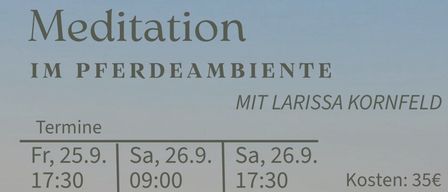 Eine Frau sitzt in einem Feld mit Pferden im Hintergrund. Das Bild enthält einen Zeitplan für Veranstaltungen mit Larissa Kornfeld.