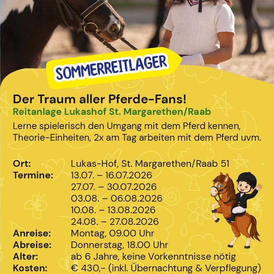 Sommerreitlager-Flyer mit Pferd und Reiter. Es enthält den Standort des Lagers, Termine, An- und Abreisezeiten, Altersanforderungen und Kosten. Das Lager zielt darauf ab, Kindern durch Spielen und Theorieunterricht den Umgang mit Pferden beizubringen.