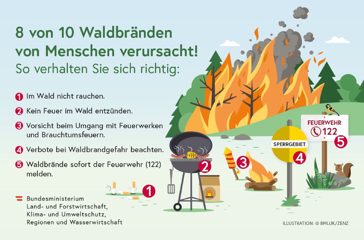 BMLUK_Internetartikel_Waldbrand_vermeiden_72dpi_250606