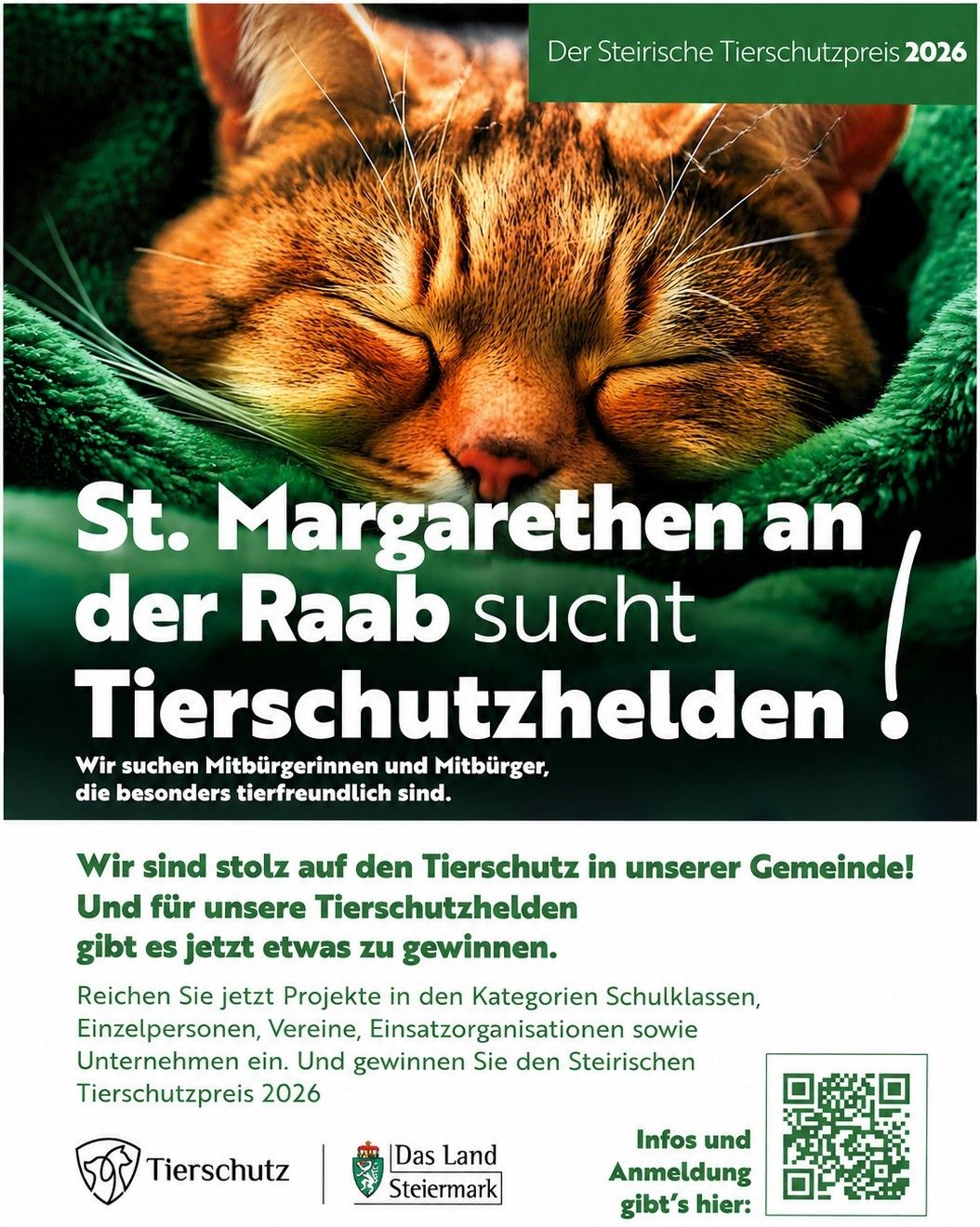 A poster featuring a sleeping cat wrapped in a green blanket with text in German above it. The text reads 'St. Margarethen an der Raab seeks animal protection heroes!' and invites citizens to participate in a competition for animal protection projects.