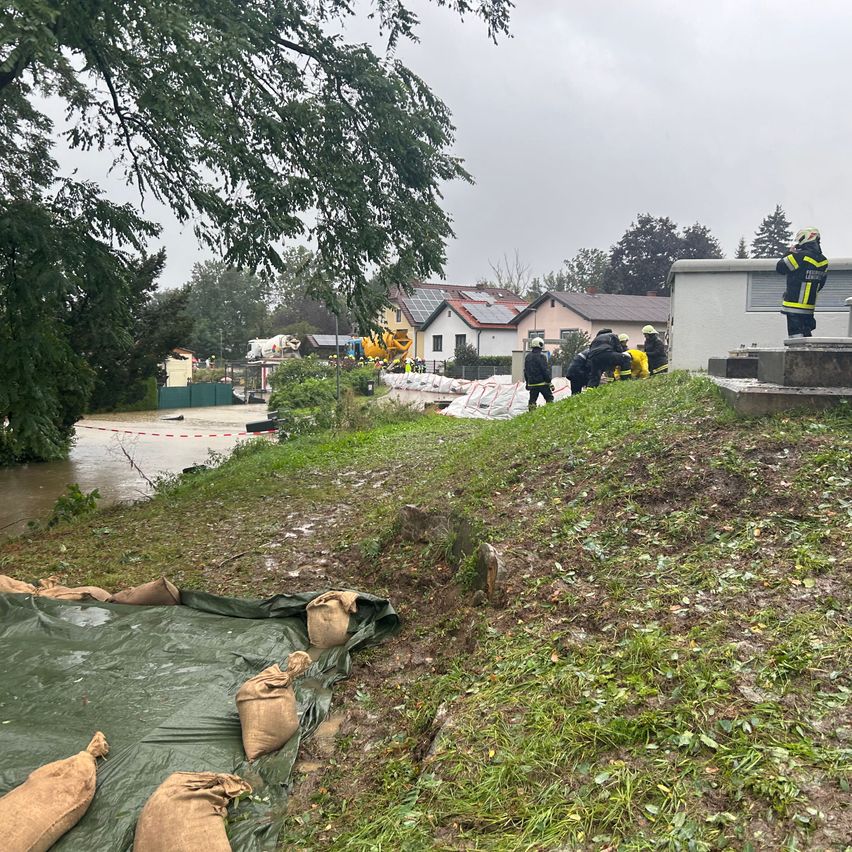 Bild enthält, Building, Outdoors, Shelter, Neighborhood, Person, Water, Helmet, Animal, Bird, Nature