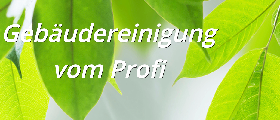 Ein Nahaufnahme von üppigen grünen Blättern mit dem Text 'Vereinigung in Profi' darüber gelegt. Die Blätter sind kräftig und gesund und deuten auf einen Fokus auf professionelles Wachstum und Einheit hin.