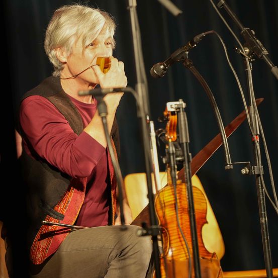 Bild enthält, Microphone, Performer, Person, Solo Performance, Adult, Female, Woman, Concert, Violin, Face